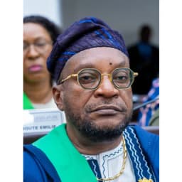 Michel Francois Oloutoyé Sodjinou