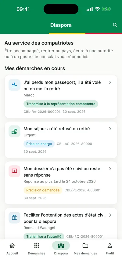 Onglet Diaspora avec les démarches en cours