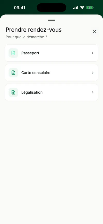 Choix de la démarche pour prendre rendez-vous : passeport, carte consulaire, légalisation
